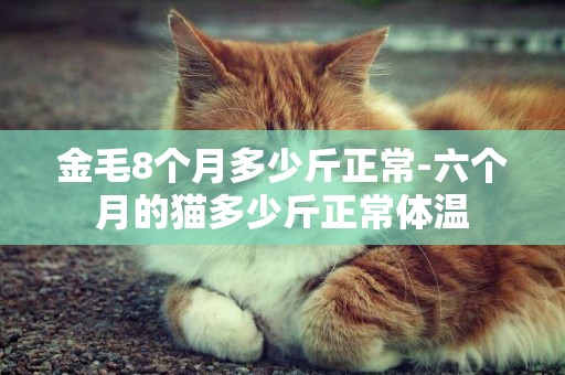 金毛8個月多少斤正常-六個月的貓多少斤正常體溫