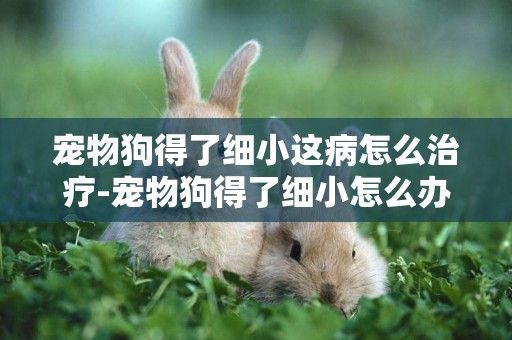 寵物狗得了細小這病怎么治療-寵物狗得了細小怎么辦