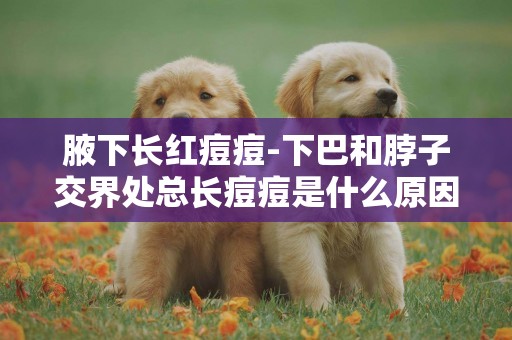 腋下長紅痘痘-下巴和脖子交界處總長痘痘是什么原因