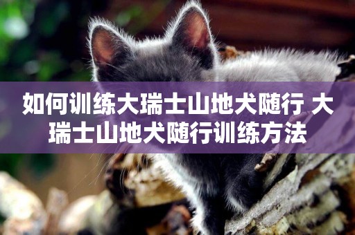如何訓練大瑞士山地犬隨行 大瑞士山地犬隨行訓練方法