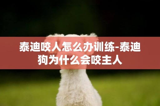 泰迪咬人怎么辦訓練-泰迪狗為什么會咬主人