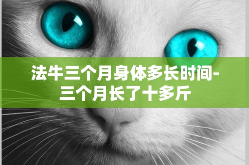 法牛三個月身體多長時間-三個月長了十多斤