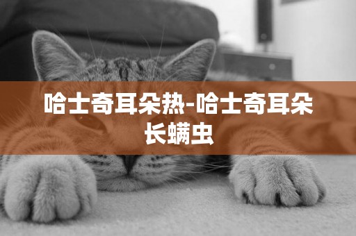 哈士奇耳朵熱-哈士奇耳朵長螨蟲