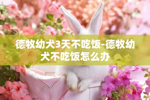 德牧幼犬3天不吃飯-德牧幼犬不吃飯怎么辦