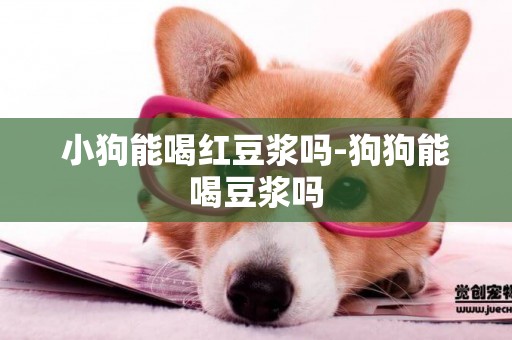 小狗能喝紅豆漿嗎-狗狗能喝豆漿嗎