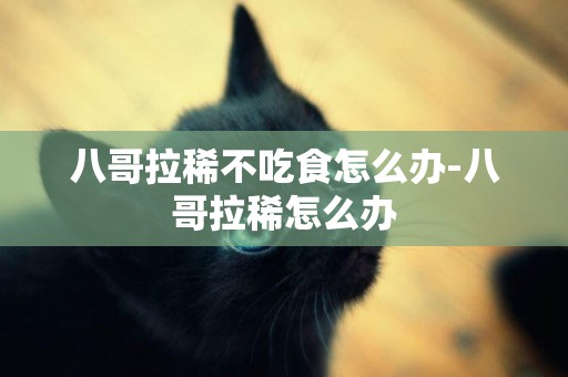 八哥拉稀不吃食怎么辦-八哥拉稀怎么辦