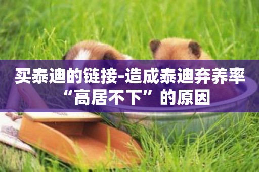 買泰迪的鏈接-造成泰迪棄養率“高居不下”的原因
