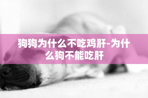 狗狗為什么不吃雞肝-為什么狗不能吃肝