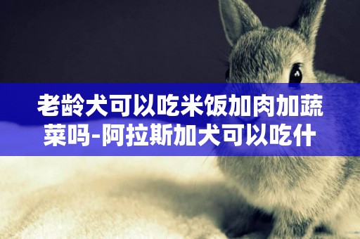 老齡犬可以吃米飯加肉加蔬菜嗎-阿拉斯加犬可以吃什么蔬菜