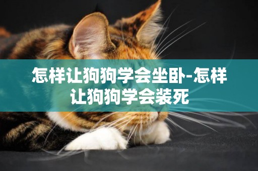 怎樣讓狗狗學會坐臥-怎樣讓狗狗學會裝死