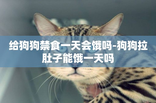 給狗狗禁食一天會餓嗎-狗狗拉肚子能餓一天嗎