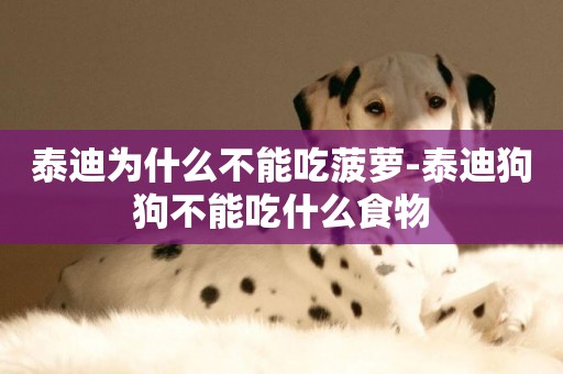 泰迪為什么不能吃菠蘿-泰迪狗狗不能吃什么食物