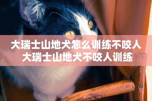 大瑞士山地犬怎么訓練不咬人 大瑞士山地犬不咬人訓練