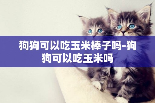 狗狗可以吃玉米棒子嗎-狗狗可以吃玉米嗎
