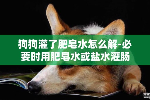 狗狗灌了肥皂水怎么解-必要時用肥皂水或鹽水灌腸