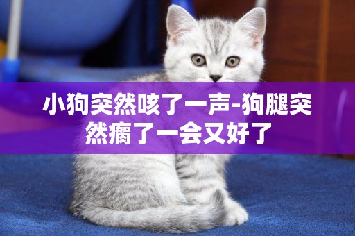 小狗突然咳了一聲-狗腿突然瘸了一會又好了