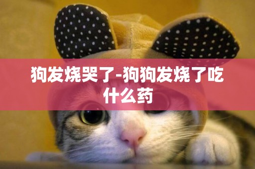 狗發燒哭了-狗狗發燒了吃什么藥