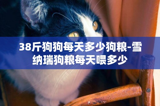 38斤狗狗每天多少狗糧-雪納瑞狗糧每天喂多少