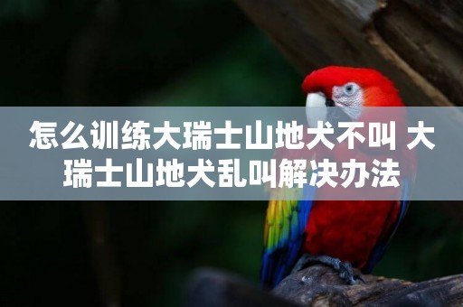 怎么訓練大瑞士山地犬不叫 大瑞士山地犬亂叫解決辦法