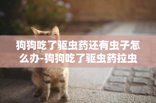 狗狗吃了驅蟲藥還有蟲子怎么辦-狗狗吃了驅蟲藥拉蟲子嗎
