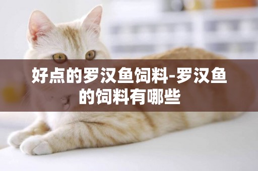 好點的羅漢魚飼料-羅漢魚的飼料有哪些