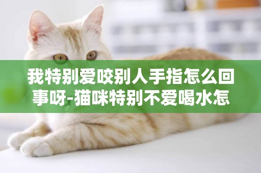 我特別愛咬別人手指怎么回事呀-貓咪特別不愛喝水怎么回事