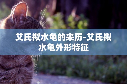 艾氏擬水龜的來歷-艾氏擬水龜外形特征