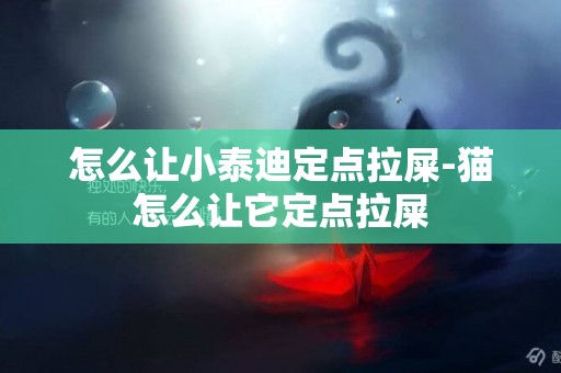 怎么讓小泰迪定點拉屎-貓怎么讓它定點拉屎