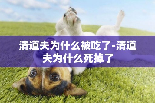 清道夫為什么被吃了-清道夫為什么死掉了