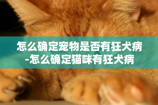 怎么確定寵物是否有狂犬病-怎么確定貓咪有狂犬病