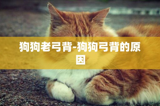 狗狗老弓背-狗狗弓背的原因