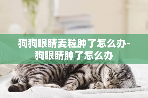 狗狗眼睛麥粒腫了怎么辦-狗眼睛腫了怎么辦