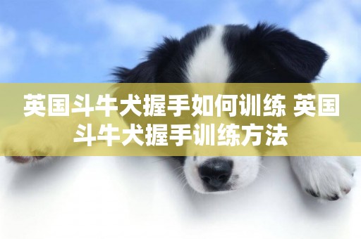 英國斗牛犬握手如何訓練 英國斗牛犬握手訓練方法