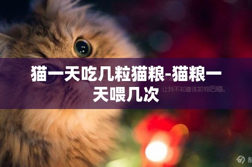 貓一天吃幾粒貓糧-貓糧一天喂幾次