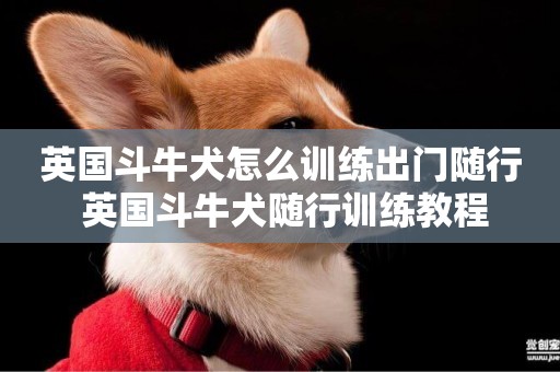 英國斗牛犬怎么訓練出門隨行 英國斗牛犬隨行訓練教程