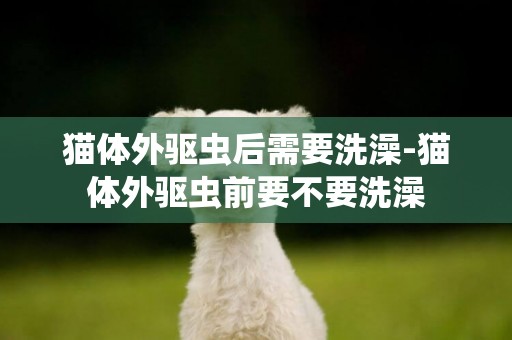 貓體外驅蟲后需要洗澡-貓體外驅蟲前要不要洗澡