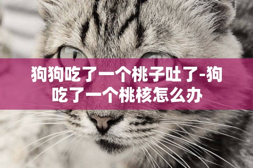 狗狗吃了一個桃子吐了-狗吃了一個桃核怎么辦