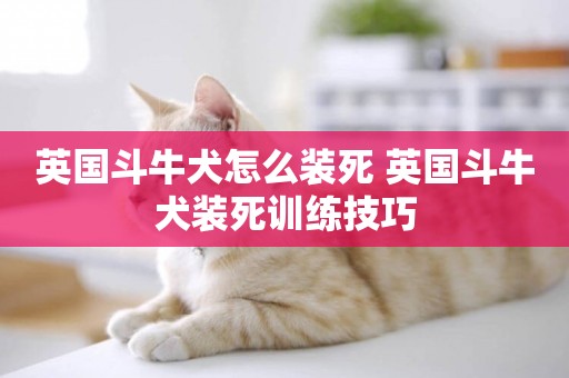 英國斗牛犬怎么裝死 英國斗牛犬裝死訓練技巧