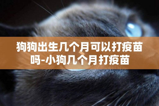 狗狗出生幾個月可以打疫苗嗎-小狗幾個月打疫苗