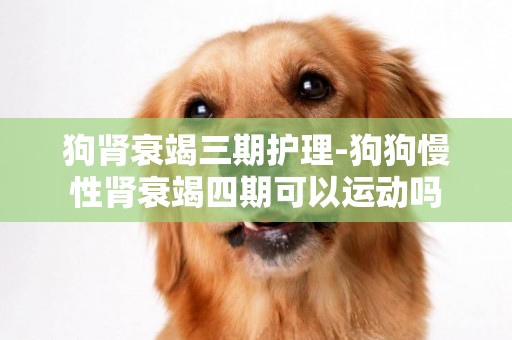 狗腎衰竭三期護理-狗狗慢性腎衰竭四期可以運動嗎