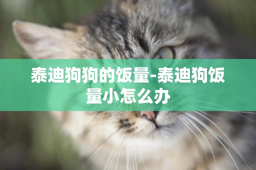 泰迪狗狗的飯量-泰迪狗飯量小怎么辦