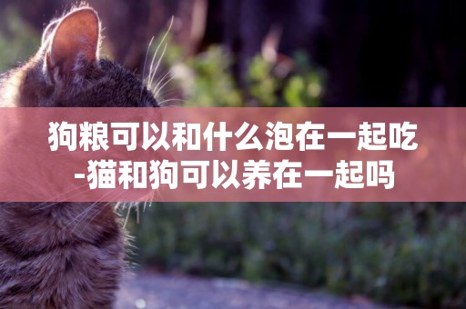 狗糧可以和什么泡在一起吃-貓和狗可以養在一起嗎