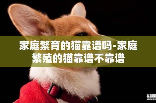 家庭繁育的貓靠譜嗎-家庭繁殖的貓靠譜不靠譜