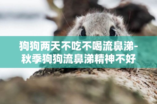 狗狗兩天不吃不喝流鼻涕-秋季狗狗流鼻涕精神不好