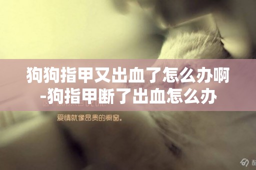 狗狗指甲又出血了怎么辦啊-狗指甲斷了出血怎么辦