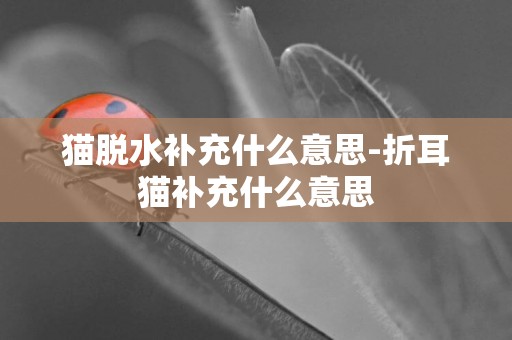 貓脫水補充什么意思-折耳貓補充什么意思