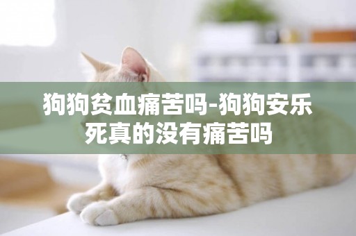 狗狗貧血痛苦嗎-狗狗安樂死真的沒有痛苦嗎