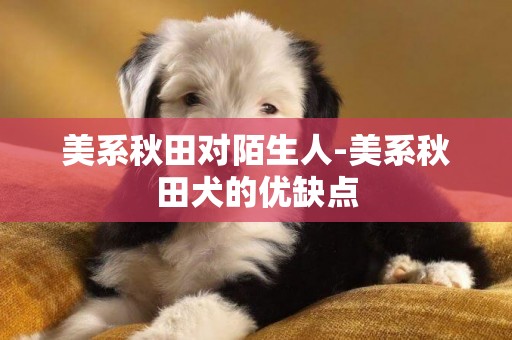 美系秋田對陌生人-美系秋田犬的優缺點
