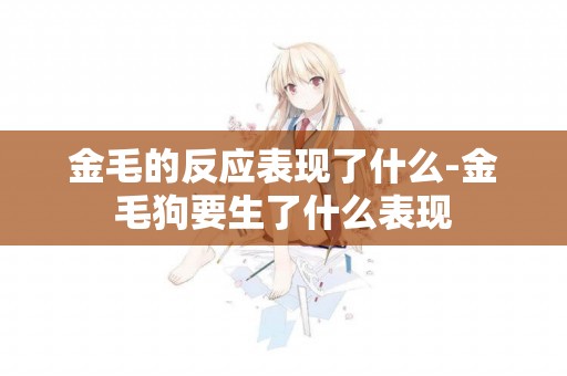 金毛的反應表現了什么-金毛狗要生了什么表現