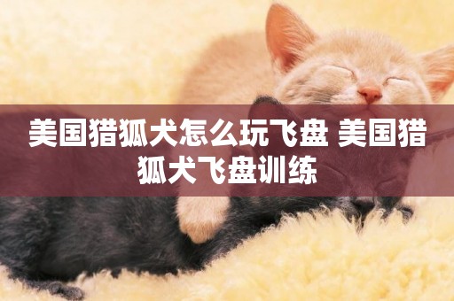 美國獵狐犬怎么玩飛盤 美國獵狐犬飛盤訓練
